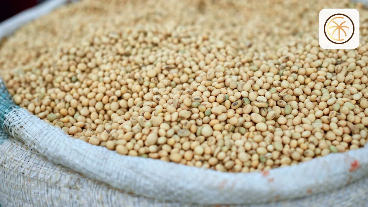 Chia Seed B2B Indonesia: Cara Mulai Kemitraan Supplier dari Nol