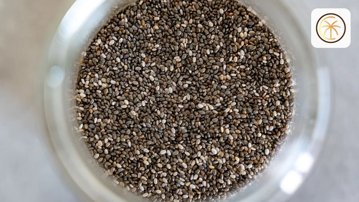 Chia Seed Organik vs Konvensional: Mana yang Lebih Cocok untuk Brand Anda?