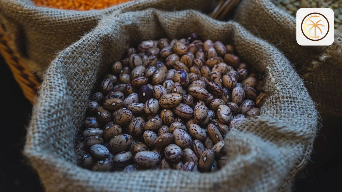 Panduan Lengkap Sourcing Chia Seed untuk Bisnis Makanan dan Minuman di Indonesia
